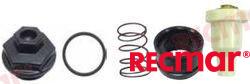 THERMOSTAT KIT