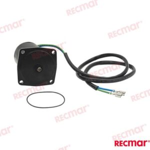 TRIM MOTOR