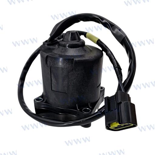 TRIM MOTOR