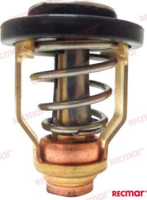 THERMOSTAT 60 grader