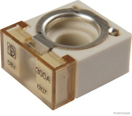 Kompakt sikring 300 amp