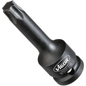 Torx Slagpipe - T55